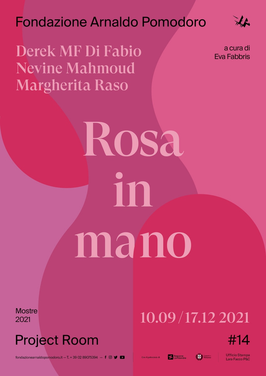 Project room #14 – Rosa in mano